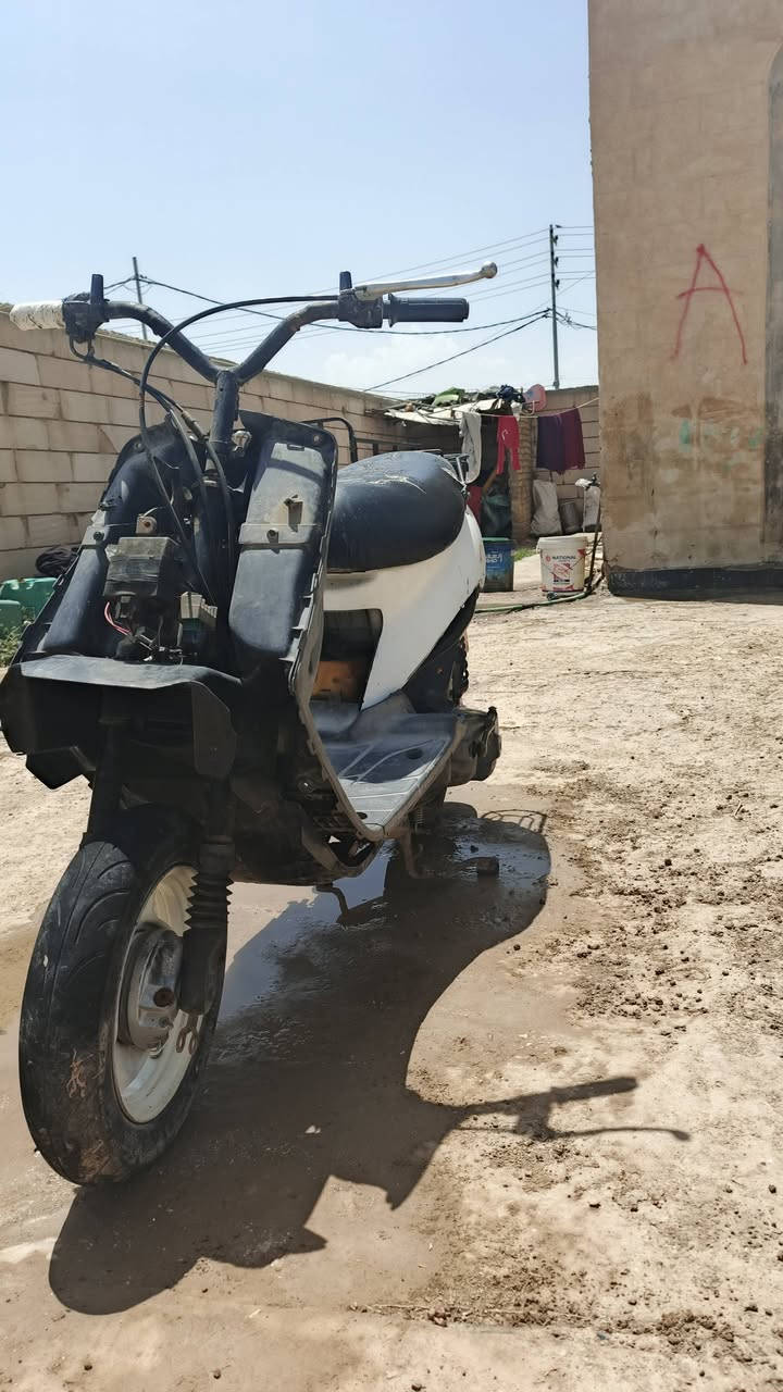 مراوس بيجي فقط مكان الرميثه


**إذا كنت صاحب هذا الإعلان وتريد حذفه لأي سبب، رجاءا أرسل رسالة إلى الدعم الفني**