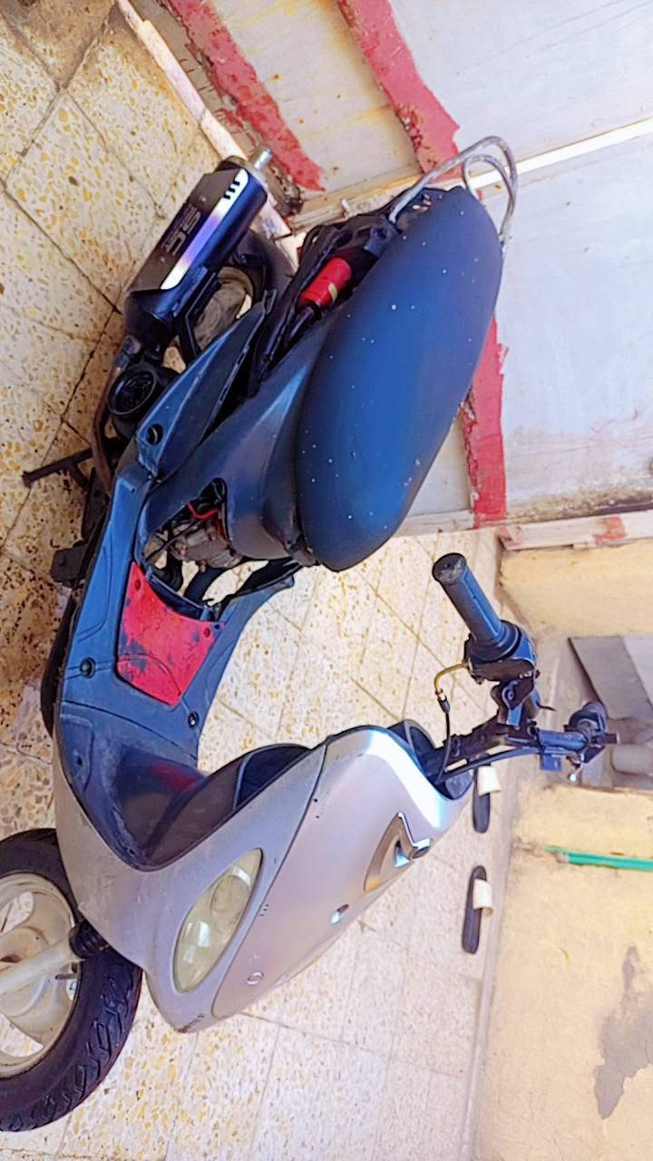 سلام عليكم ماكس منغولي لبيع شغاله اوراق سعر 250وبيه مجال


**إذا كنت صاحب هذا الإعلان وتريد حذفه لأي سبب، رجاءا أرسل رسالة إلى الدعم الفني**