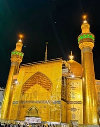 زيارة الامام علي • النجف الاشرف • الهاشمية