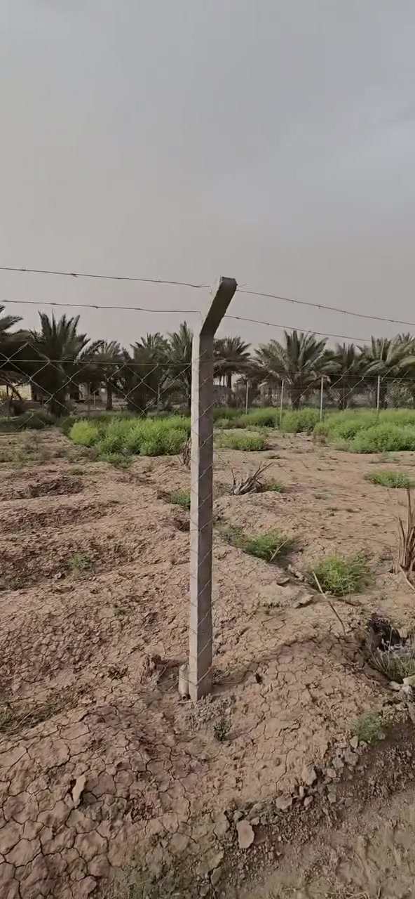 650 م للبيع 
طابو زراعي سند ٢٥ 
خلف مزرعة النخيل الترفيهيه مجاور مزرعة ناي 
***********
