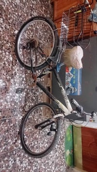 بايسكل • كيمو