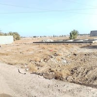 قطعتين طبك • الرمادي الصوفية السورة • ٢٥٠م