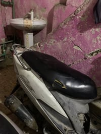 منغولي • شغاله • كفرات كامله