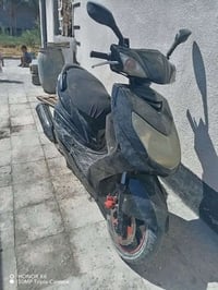 دراجة سكنس • فحل • سبع البور البصام