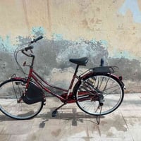 ٢٠١٧ • ياباني أصلي • ديالى كنعان