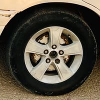 مراوس • حجم ١٥ • دوانيه