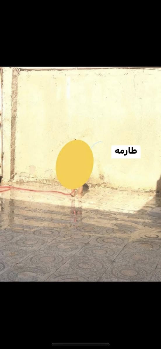 متوفر شقه للأيجار في منطقة دور الضباط قرب شارع البهو .. قرب اسواق الشلال .. طابق أول فوق بيت .. درج معزول .. تحتوي غرفتين وصاله كبيره ومطبخ وصحيات وطارمه .. مساحتها 100 متر .. سعر الأيجار (( 500 )) .. 
***********📲
