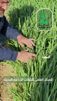 القضاء على عنصر البورون ! @متابعين #البورون   لعنوان : [ بغداد / ناحية...