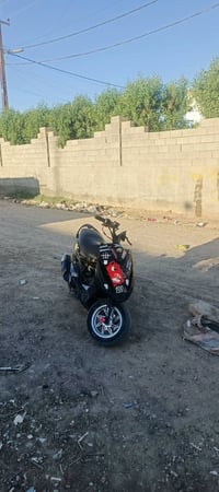 ماكس عدلة • بوشه ٥٥ • نشطة