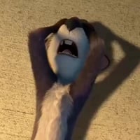 🚀 تيم الفهود لخدمات التوصيل 🚀  هو كروب بسستم شركة متكامل ومتخصص بتوصيل...