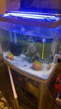 أغراض للبيع • ديكور منزلي