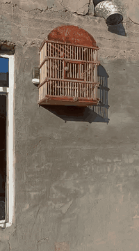 بلبل مفول حار ما يسكت ابد ابد بل حقيقه بكد فختيه ما شاء الله سعره 85 نهايته عمره 4 سنوات 24 ساعه يقره حته بليل ما يسكت اله تغطي قفص بكاني بغداد واتساب ***********
