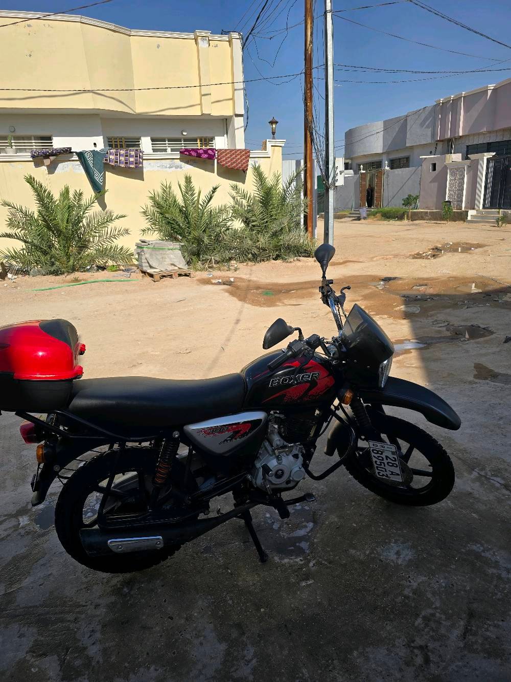 دراجه بوکسر رقم انكليزي مداور ثاني يوم السعر

واتساب ***********