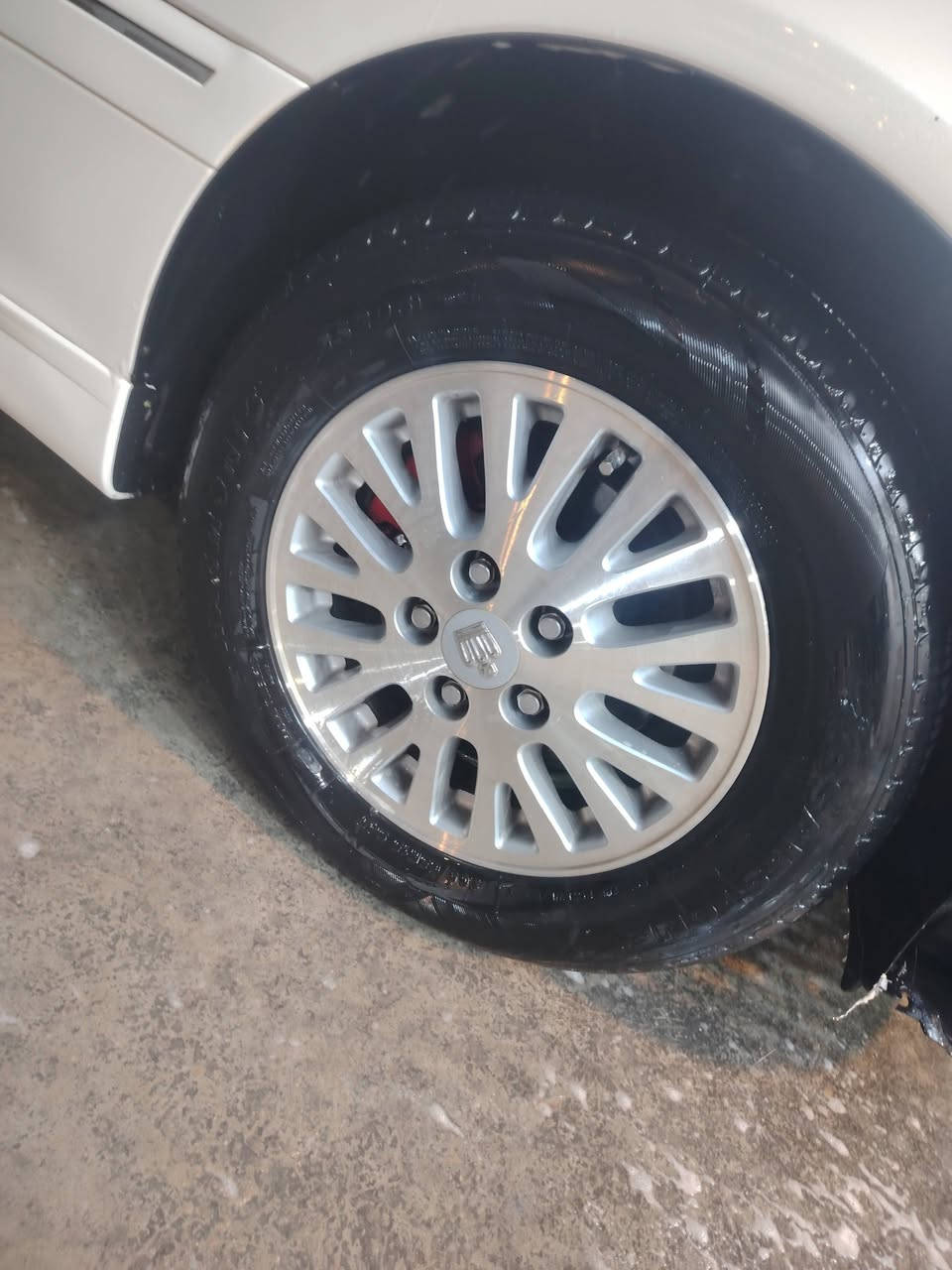 تخم ويل حصيره للبيع السعر ١٧٥
***********
