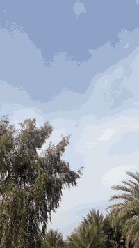 تو برو • ١٢٥ سي سي • موديل ٢٠٢٥