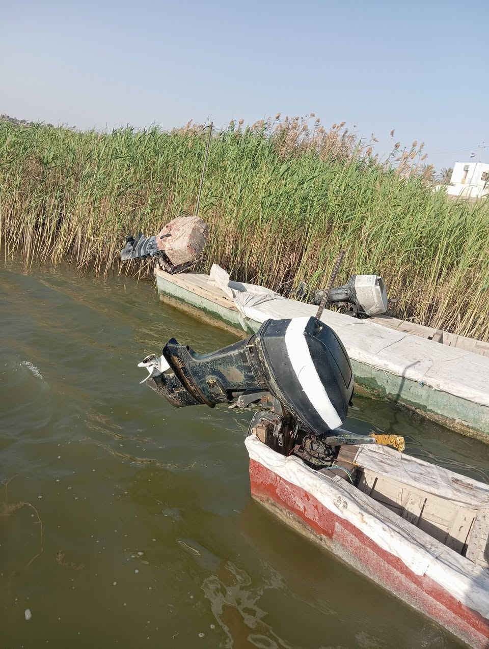 ***********السلام عليكم مكينه ياماها 48 للبيع السعر 700 مراوس الراوس بيع نبيع وشراء يجينا واحنا بخدمته
