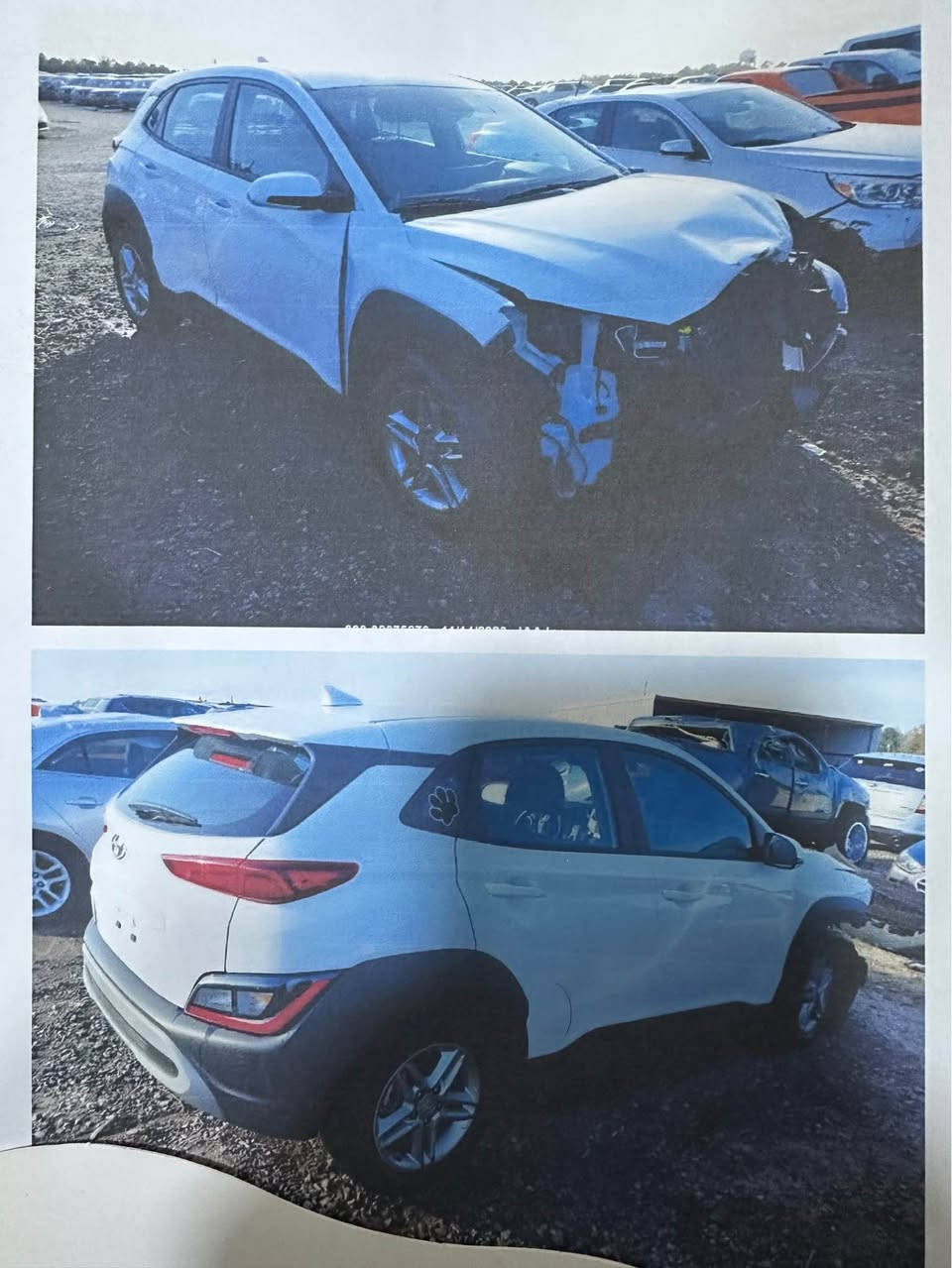 كونا 2023 
مكينة 2000 دوش 
مواصفات عادية 
مشي 28 الف
السعر 162 
رقم بغداد بغداد, العراق


**إذا كنت صاحب هذا الإعلان وتريد حذفه لأي سبب، رجاءا أرسل رسالة إلى الدعم الفني**