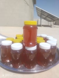 عسل اصلي • طبيعي