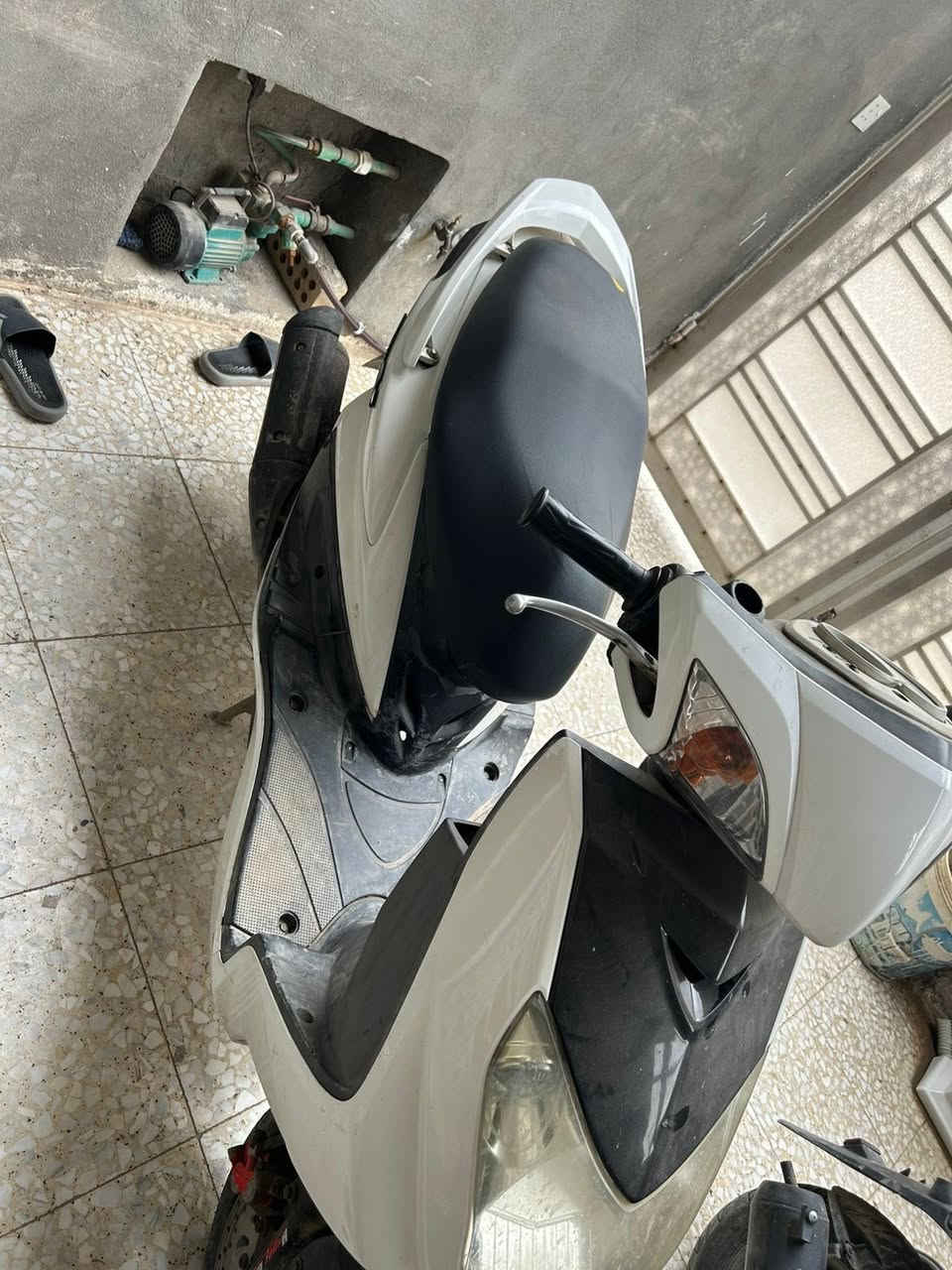 السلام عليكم دراجه  البيع سكنس  فحل لون ابيض مكفوله كفاله عامه صار اقل من شهرين منزلها رمبه اللاستفسار الاتصال على *********** او المراسله واتساب
