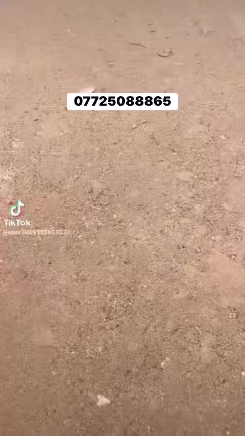 ارض بل فيروزيه مكان كلش حلو موجود جميع المساحات ارض طابو صرف زراعي اي استفسار اتصل ***********
