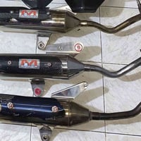 سكنس • فحل • مكفولات