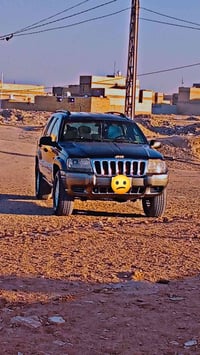 جيب شيروكي • نجف • راعيه