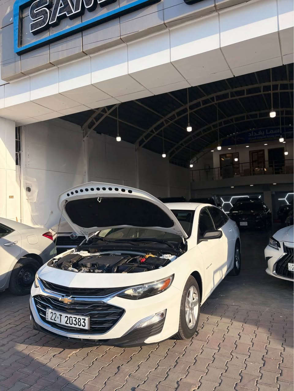 السلام عليكم للبيع ماليبو 2022 رقم اربيل جاهز سيارة بدون صبغ بدون دوخال فقط بونيت مبدل بلاد بدون صبغ سيارة جاهزة وكلشي بشرط فقط بيع بدون مرواس السعر 118$ وبي مجال بسيط للشراي مكان سيارة كركوك 
للستفسار (***********)
0️⃣7️⃣7️⃣0️⃣3️⃣1️⃣3️⃣9️⃣0️⃣6️⃣0️⃣ كركوك, العراق
