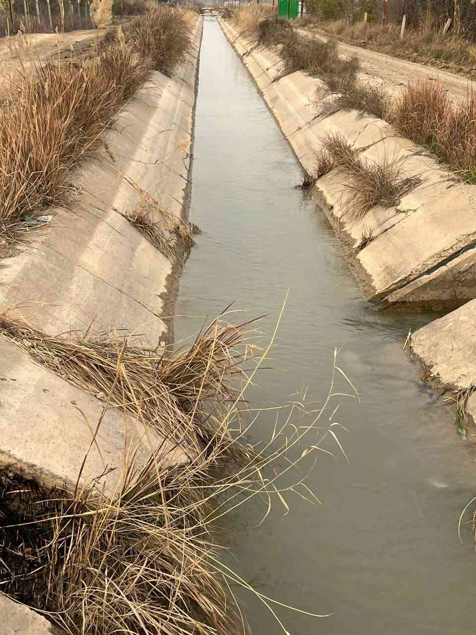 ياالله
للبيع ٧٠٠ متر في بغداد منطقه الراشديه

ترهم ستثمار وه مزرعه متنفس الك

كل خدمات بيه ماء اساله وماء روئي وكهرباء ويوجد فيه نخيل

حلوه سعر ٧٠٠ مناسب 30مليوان بيه مجال الاستفسار تصال على رقم ***********
