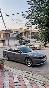 ٢٠١٨ • SxT بلس • بدون صبغ