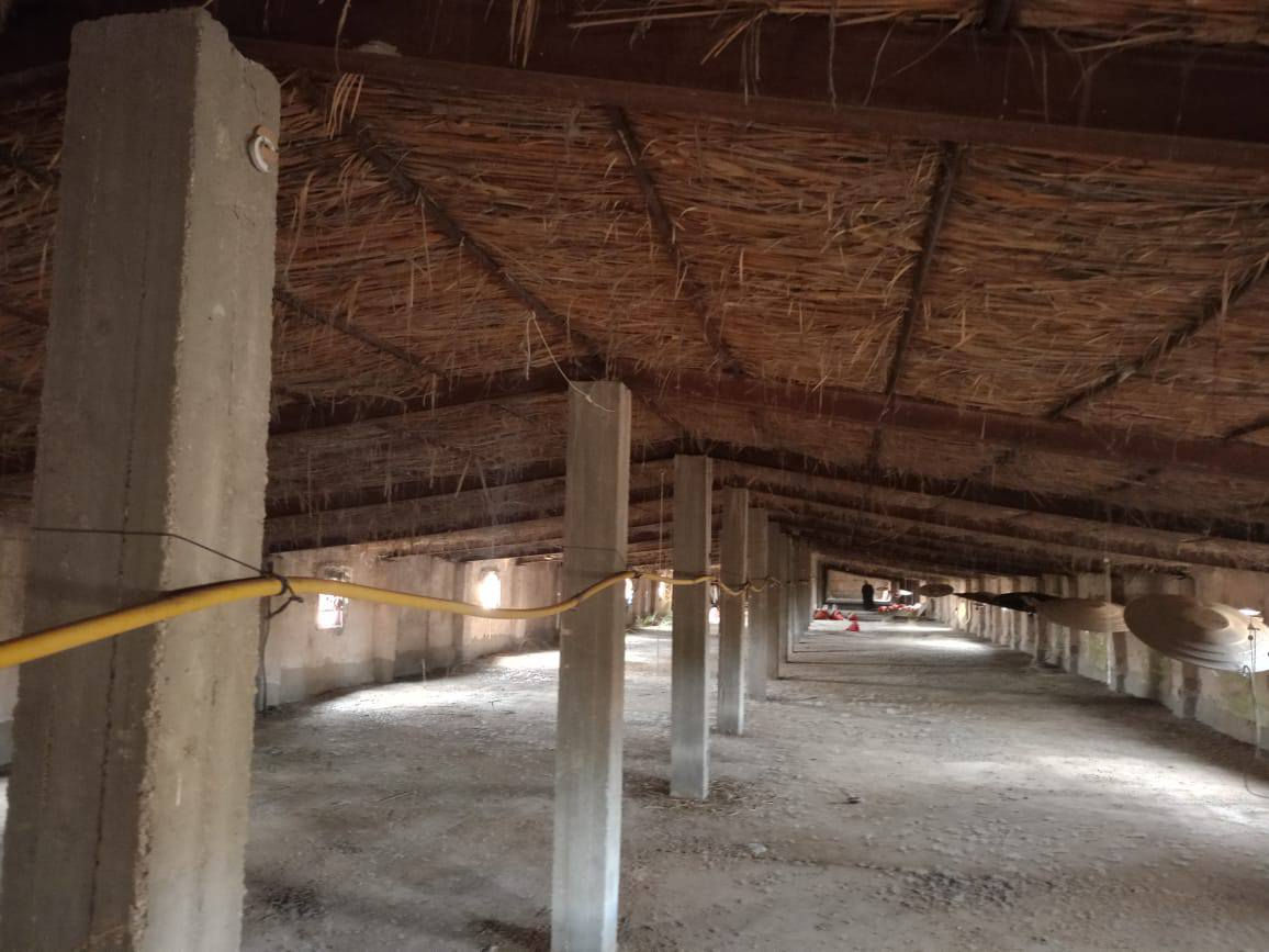 سلام عليكم شيش للبيع ابو النج اوركاني او شيلمان سباني شيش مال حقل او مكاني بابل بل كفل ولشراي ينتصل عله هاذ الرقم ***********

ادمن وافق
