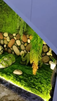 من اعمال كادر ديكورات كوباني ...للحجز والاستفسار الاتصال على الرقم ☎️📞...