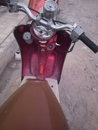 مصريه • نضيفه • سلف