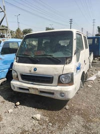 بونجو • ٢٠٠٤ • ابو غريب