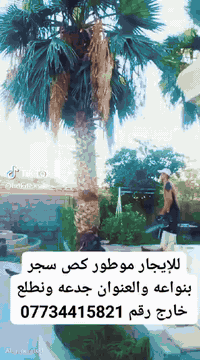 للايجار ماطور قطع اشجار بانواعها العنوان الجدعاء ونطلع خارج خابر ونجيك للبيت ***********
