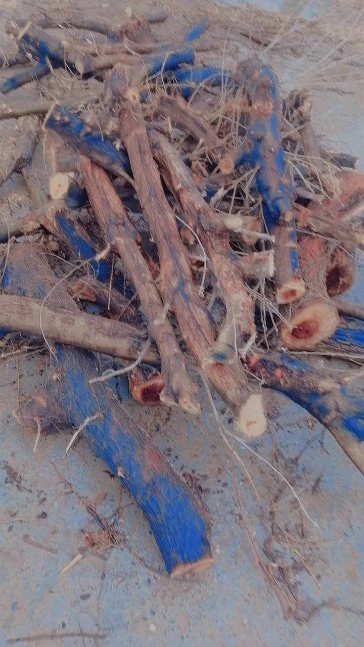 حطب للبيع بيهن كيه تقريبا
وعندي #كواني_حطب للبيع 
***********
***********
