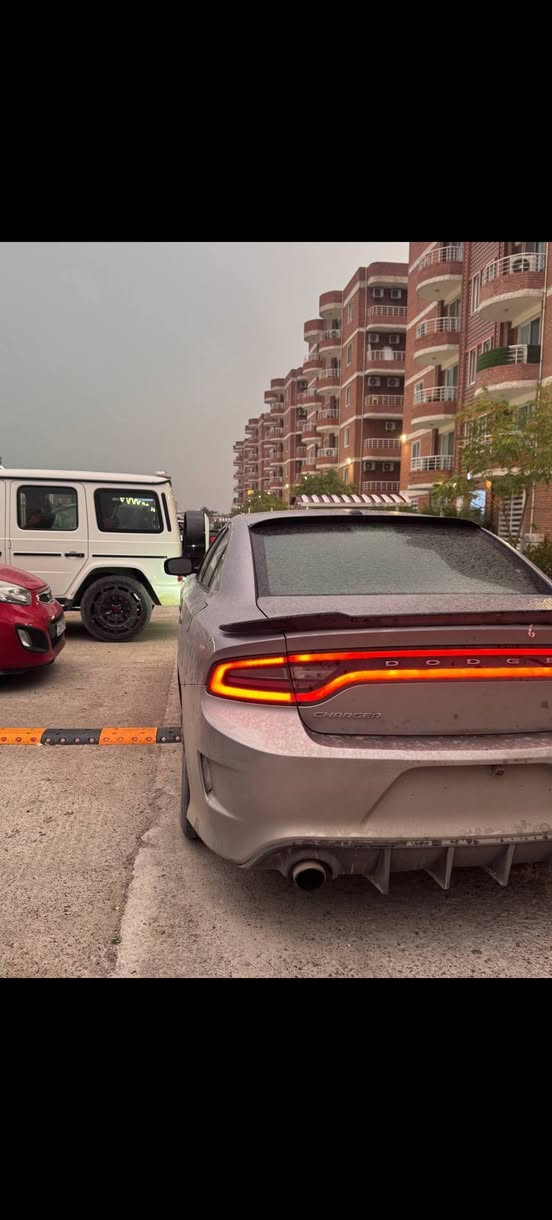 للبيع جارجر 2015 SXT محدثه بنيد ودعاميات SRT
حادثها قطعتين جاملغ وباب مكينه جديده مال 20 خير من الله شلعه ومعدل سياره ب اسمي تحويل ثاني يوم سياره خير من الله نصبتها تخبل داخلها كله نضيف تعال وشوف بعينك ملاحظه ملاحظه ملاحظه سياره بيها براد دهن طاك وعفته ماسويتها ودعاميه اماميه مكسوره وبس ذني والبقيه خير من الله ترايك لبصره وترجعلي السياره رايدها ب 160 وبيها مجال حك الجيه وبالخدمه ***********
