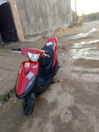 ماكس عدلة • ٤٩ • بلاديه