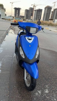 ماكس منغولي • نضيفة • سلف