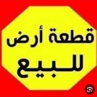 كربلاء المقدسة • سند ٢٥ • قرار محكمة