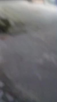 حي السفير الخامسه • ١٠٠م • سقف سندويش