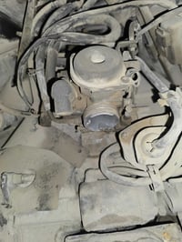 كابريتر • ثعلب بلاديه • ع الفحص