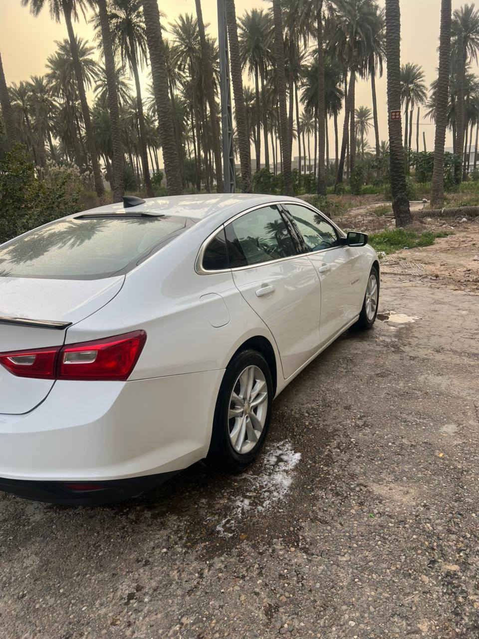 ماليبو2022 اذا اكو BYD سيل5 او كن بلاس مراوس راس براس يتفضل خاص


**إذا كنت صاحب هذا الإعلان وتريد حذفه لأي سبب، رجاءا أرسل رسالة إلى الدعم الفني**