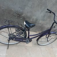 باسكل مشجر • نضافة • بيع مستعجل