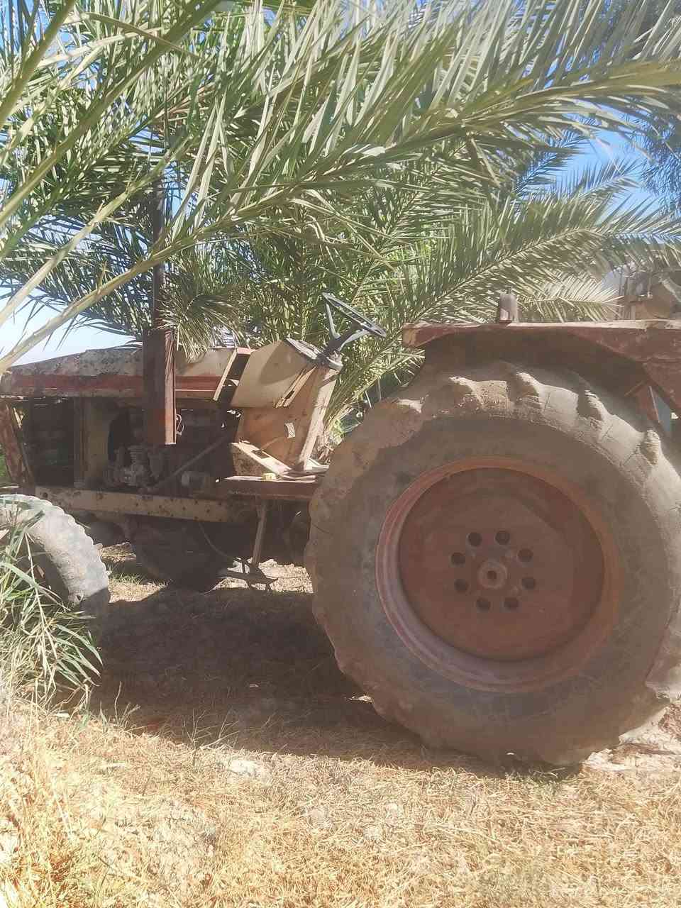 ثمانين للبيع موديل 87زيتور مكينة بلادية المكان بعقوبة ناحية السلام الاستفسار الاتصال على الرقم***********
