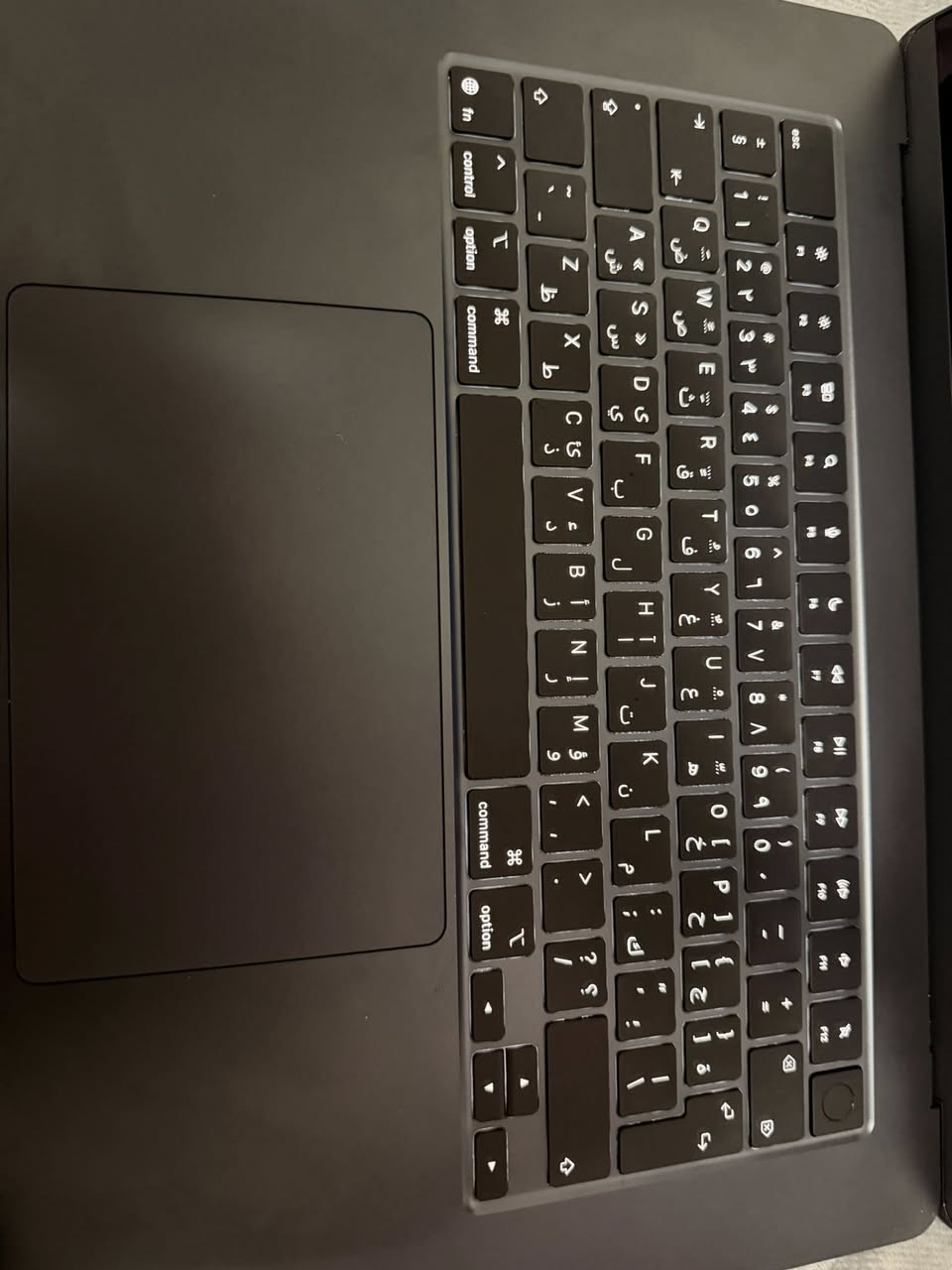 MacBook Air m5 + logic mouse generation 2
Ram 15gb
Hard 512gb
Battery cycles 5
Logic mouse generation 2
الماك شرق اوسط وضمان عربي مشتريها من هورايزن 

السعر مليونين ونص بيها مجال كلش بسيط


**إذا كنت صاحب هذا الإعلان وتريد حذفه لأي سبب، رجاءا أرسل رسالة إلى الدعم الفني**