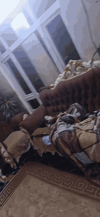 بو فروتن للبيع ***********
