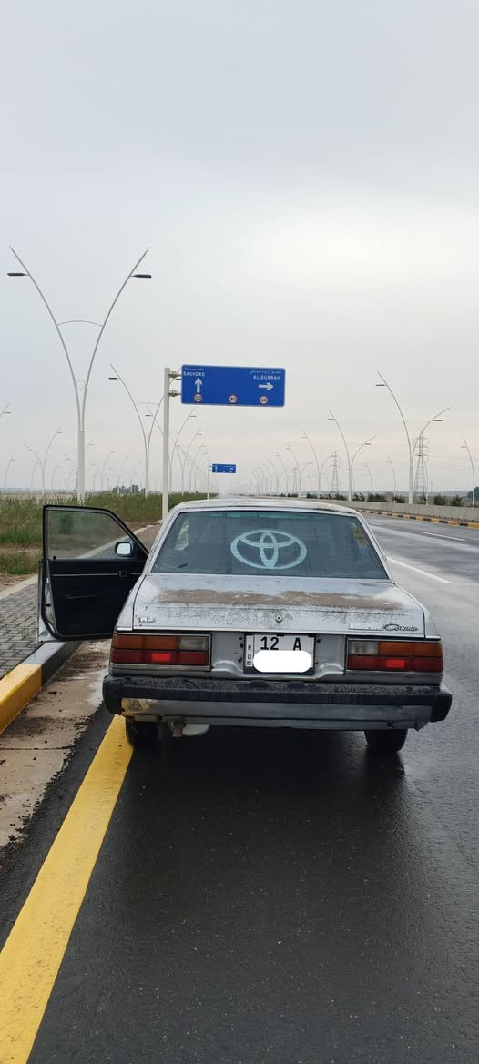 موديل 81 مثل ما واضح مكان سامراء السعر 39 ) ***********
