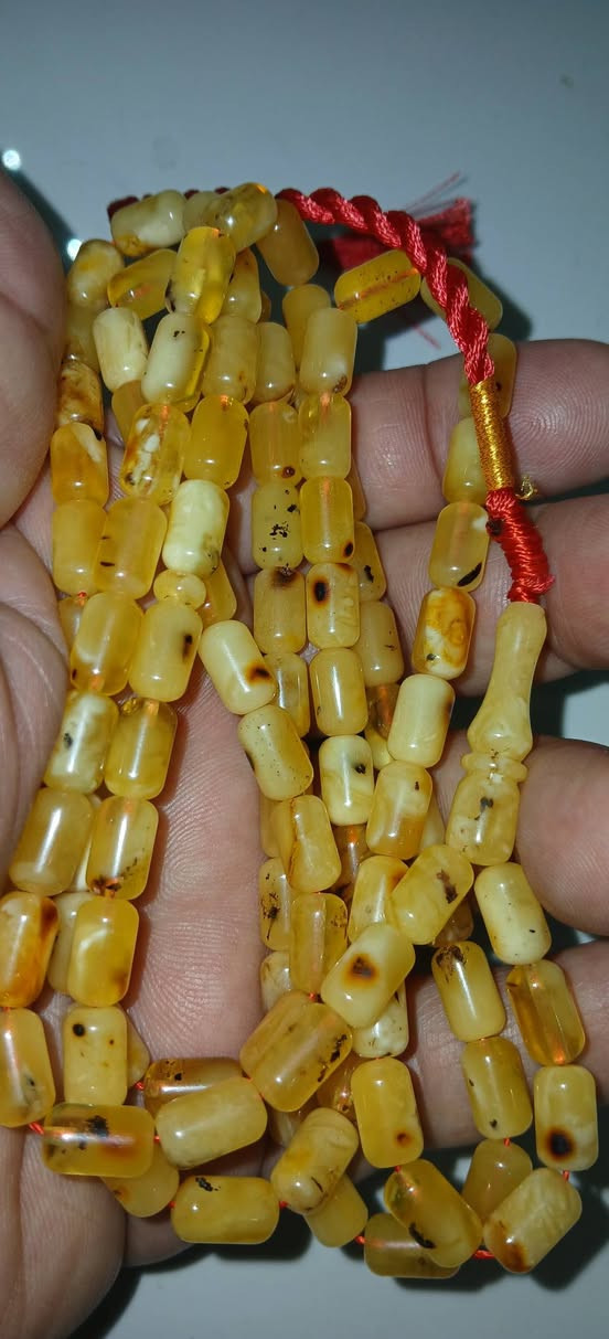 166غرام كهرب كبسولي ناعم وبيض حمام وكصة زيتونية (جملة فقط)
سعر الغرام للكل شلعة وحدة ب3 الاف واذا مفرد الغرام 4 الاف دينار اللي على باب الله تفيدك


**إذا كنت صاحب هذا الإعلان وتريد حذفه لأي سبب، رجاءا أرسل رسالة إلى الدعم الفني**