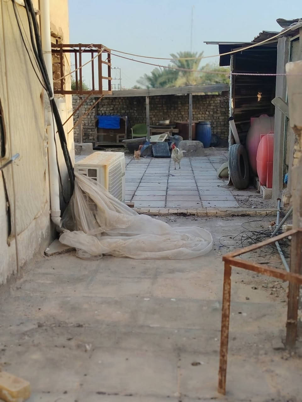 سلام عليكم بيت ومحلات للبيع موقع تجاري  ركن سوق رجيوي مساحه 260 متر بيت يتكون من 4 غرف وثاني محلات 5 ومشتمل للاستفسار ***********
