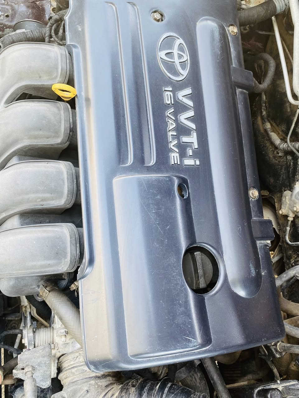 السلام عليكم 
للبيع كورلا بيكاتشو موديل 2004خليجي سيارة حلوه كلش كير محرك تخم تاير جديد مصبوغه حزام بيهه ضربه بل جاملغ الخلفي مال الراكب بسيطه بدون ضرر بنيد مبدل لون اسو دعاميه مبدله لون اسود السعر 75وبيه مجال للشراي العنوان واسط قظاء الزبيديه 

للتصال عل الرقم   موشراي  لا تعبني حبيبي 🫡

0780737 6209
